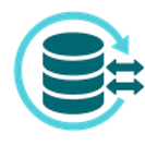 全量データ／API連携